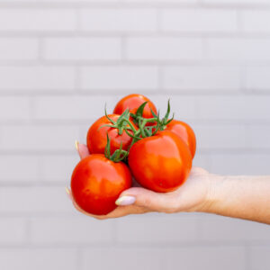 MalibuMarket AbbieHuntCreative HR 29 How Your Local Cooloongup Grocery Store Adapts to Customer Needs 10