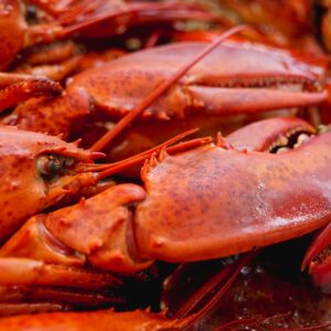 pexels kindelmedia 8352396 Health Benefits of Incorporating Fresh Seafood into Your Diet 14