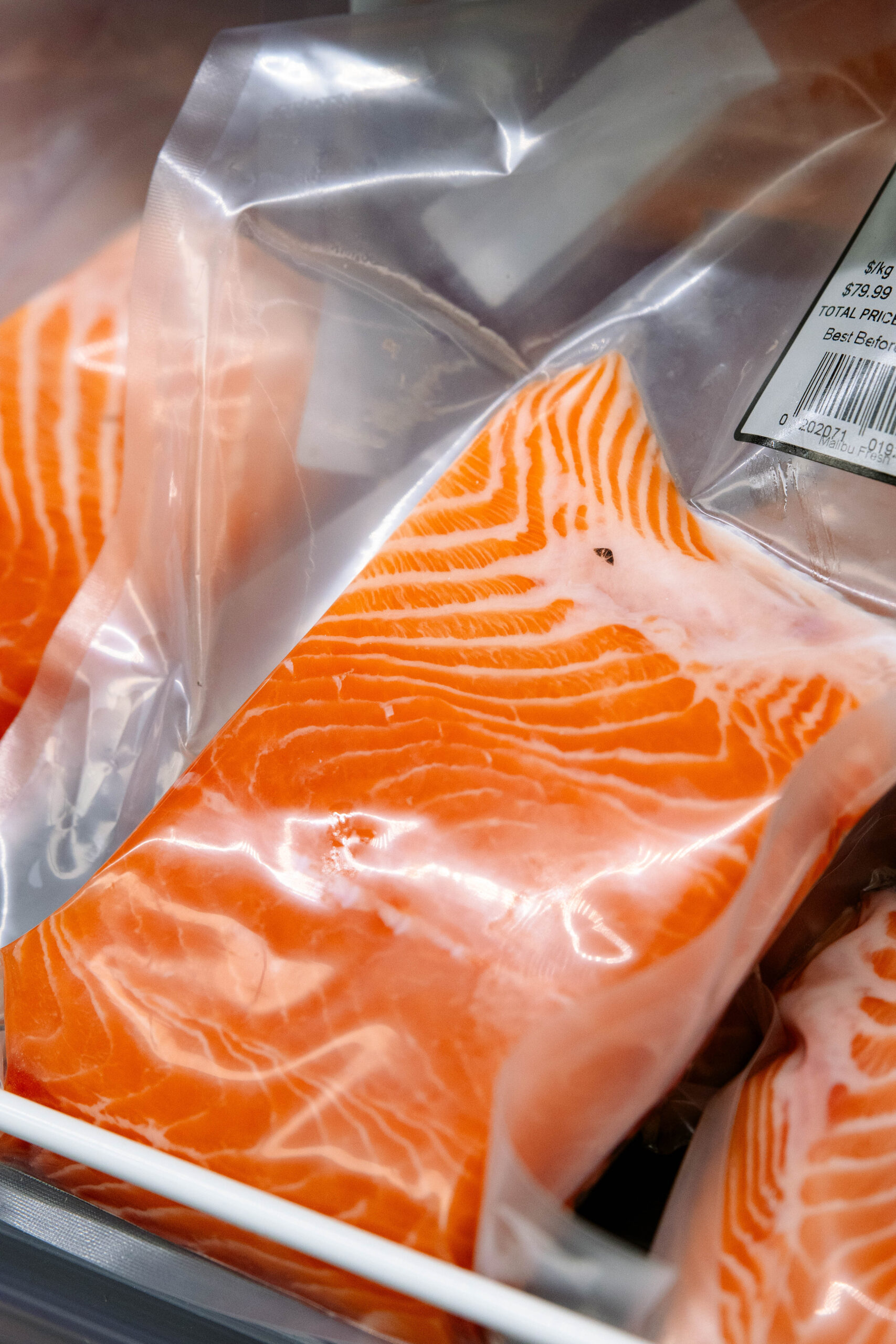 1D2A9825 scaled Seafood 5