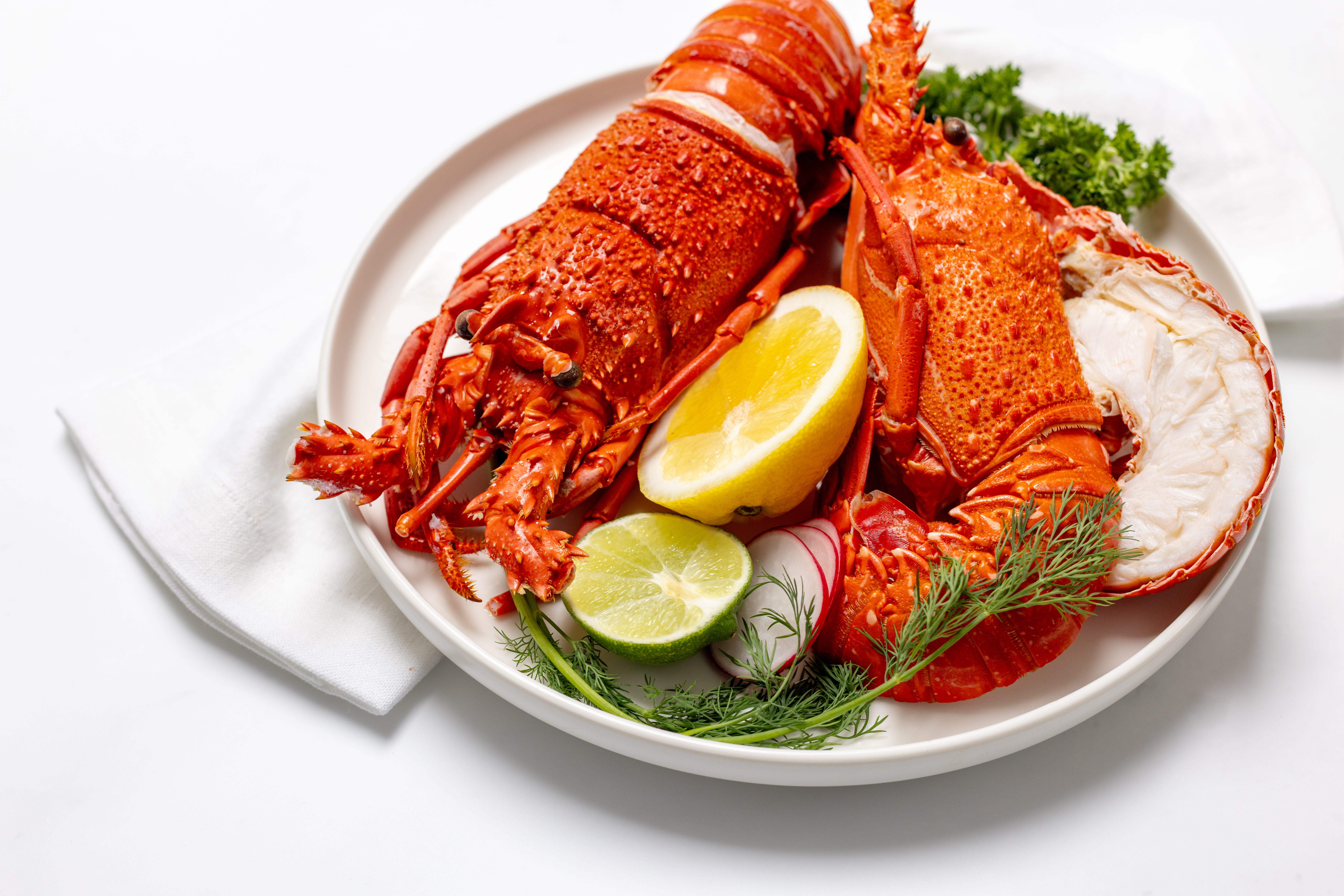 TH 2510 51 Seafood 7